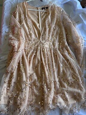 Nude Sequin Embellished V-Neck Dress
